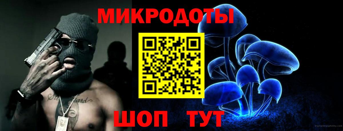 Псилоцибиновые грибы мицелий  купить   Чапаевск  Вход с VPN 