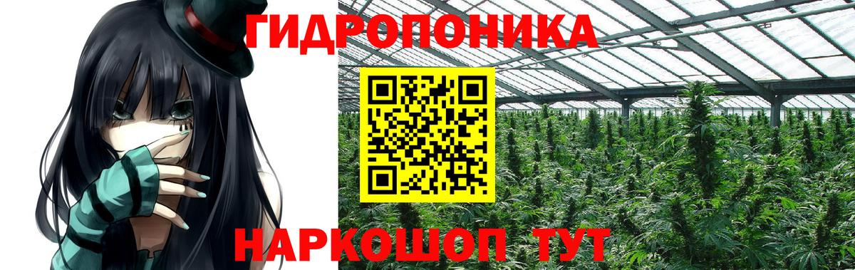 Чапаевск  Бошки марихуана гибрид  Марихуана марихуана  Конопля семена  МАРИХУАНА THC 21%  Вход с VPN 